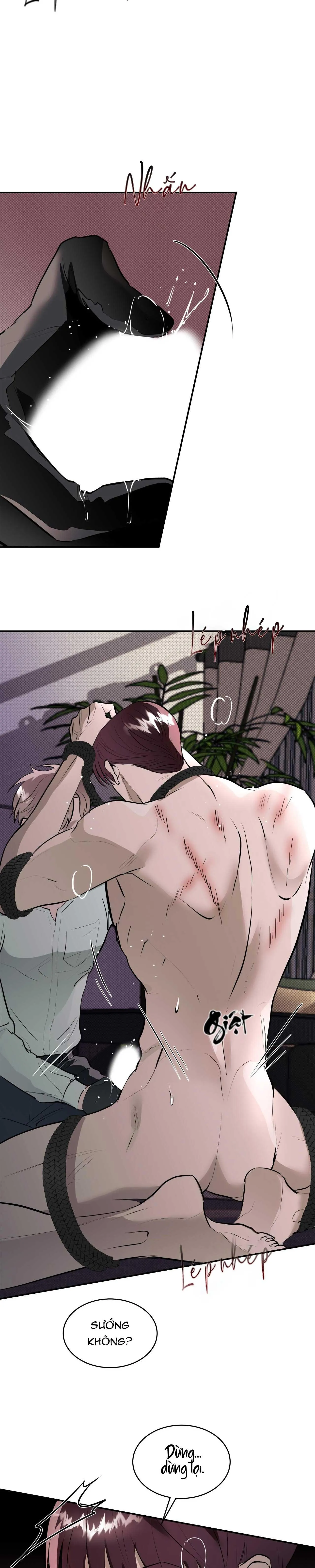 KNOCKOUT BABY Chapter 5 Trang 7