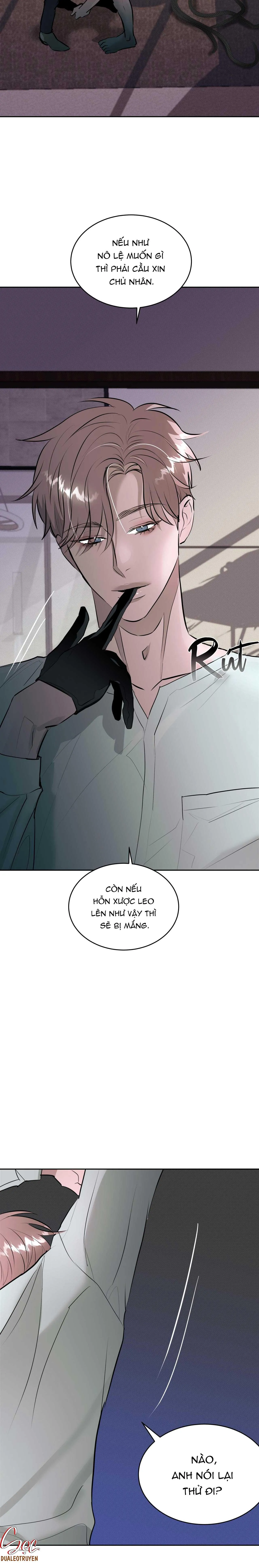 KNOCKOUT BABY Chapter 5 Trang 12