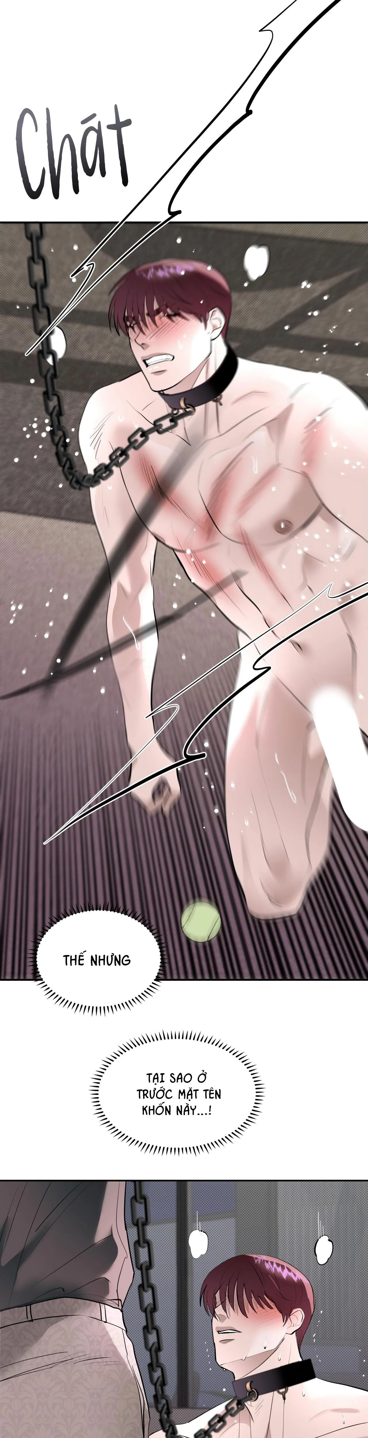 KNOCKOUT BABY Chapter 8 Trang 11