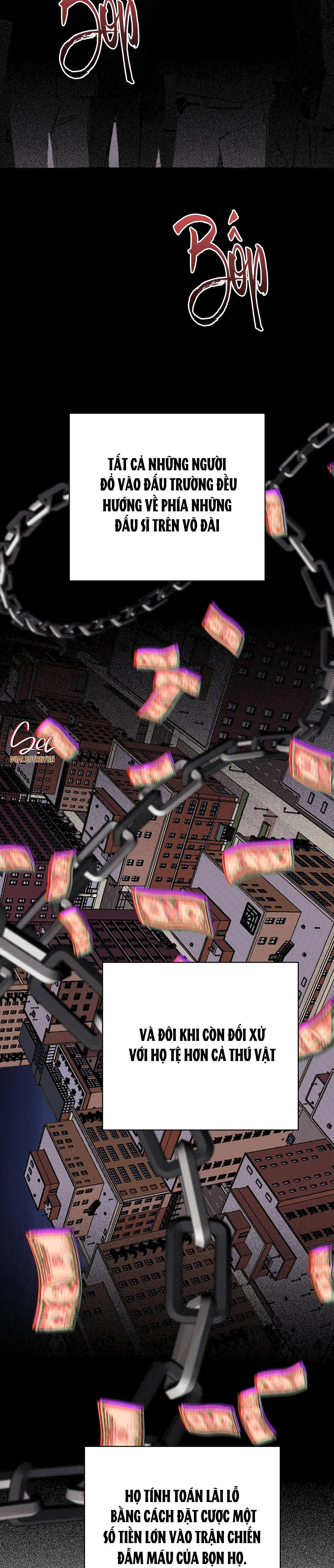 KNOCKOUT BABY Chapter 1 Trang 3