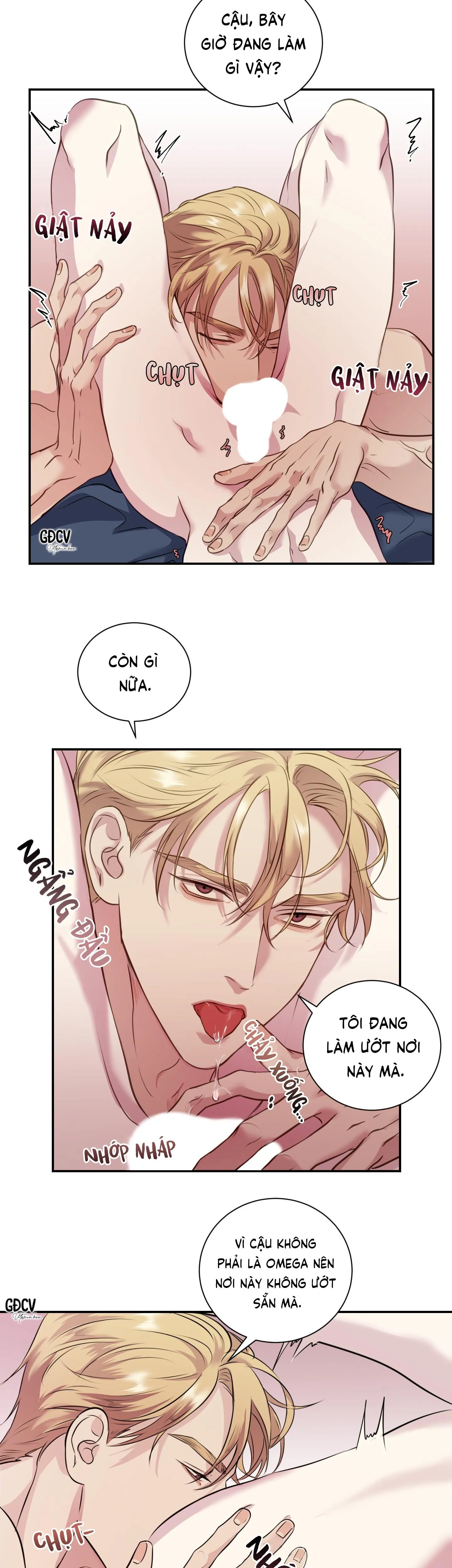 KỲ ĐỘNG DỤC LÀ GÌ CHỨ? Chapter 3 Trang 19