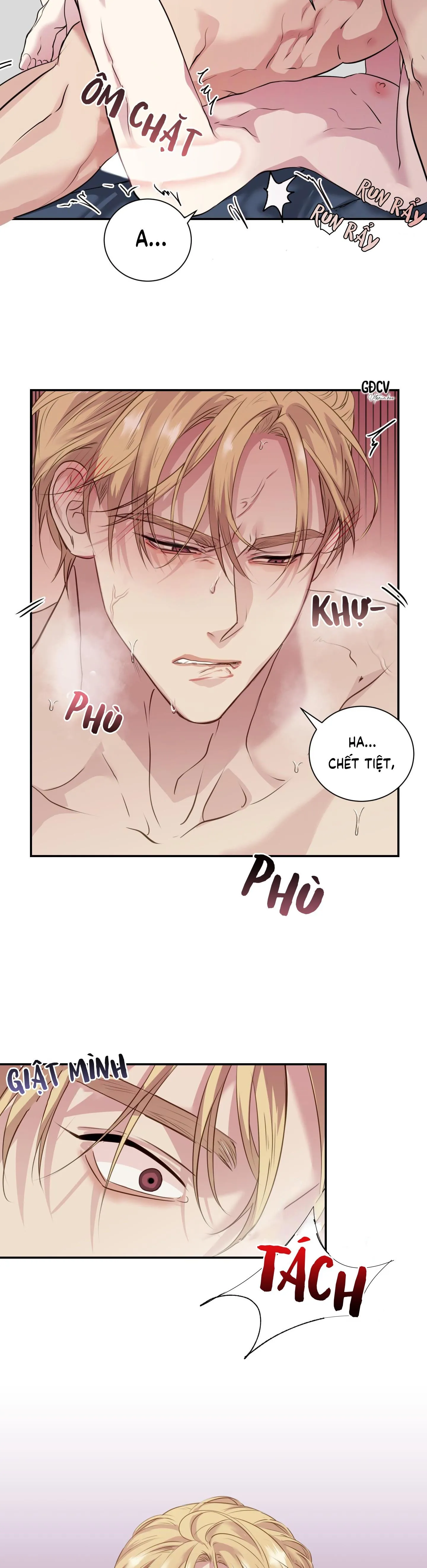 KỲ ĐỘNG DỤC LÀ GÌ CHỨ? Chapter 3 Trang 26