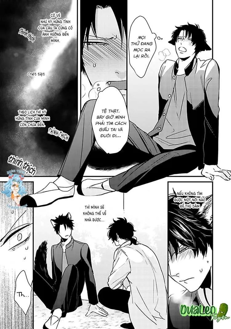 Kỳ Phát Tình Của Dê và Sói Chapter 2 Trang 16
