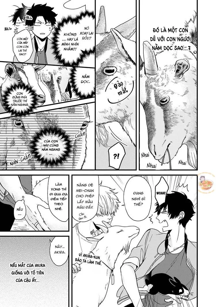 Kỳ Phát Tình Của Dê và Sói Chapter 3 Trang 14