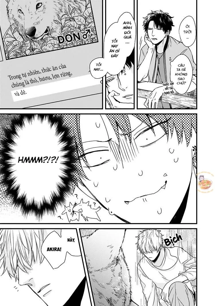 Kỳ Phát Tình Của Dê và Sói Chapter 3 Trang 22