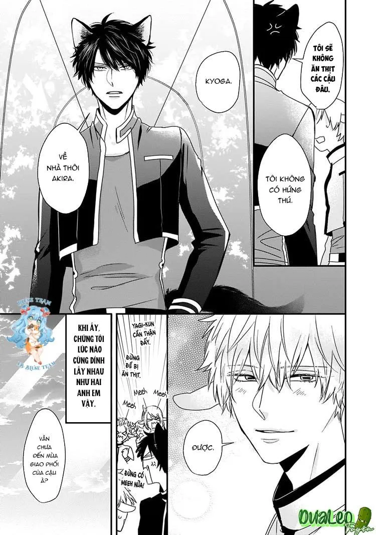 Kỳ Phát Tình Của Dê và Sói Chapter 4 Trang 11