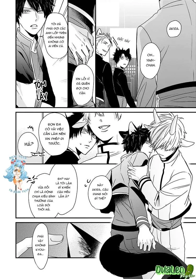 Kỳ Phát Tình Của Dê và Sói Chapter 4 Trang 16