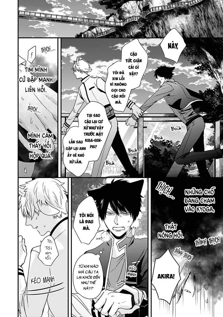 Kỳ Phát Tình Của Dê và Sói Chapter 4 Trang 18