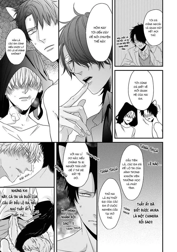 Kỳ Phát Tình Của Dê và Sói Chapter 5 Trang 13