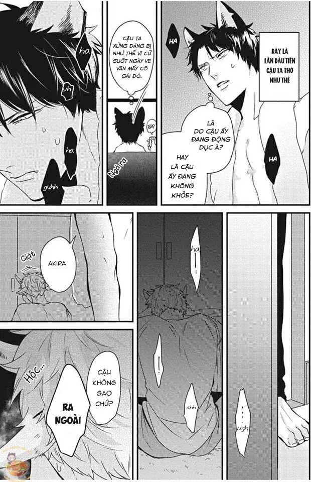 Kỳ Phát Tình Của Dê và Sói Chapter 1 Trang 21