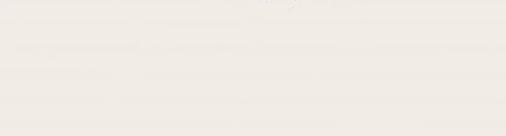 Ký Sự Thanh Xuân 1995 Chapter 41 Trang 41