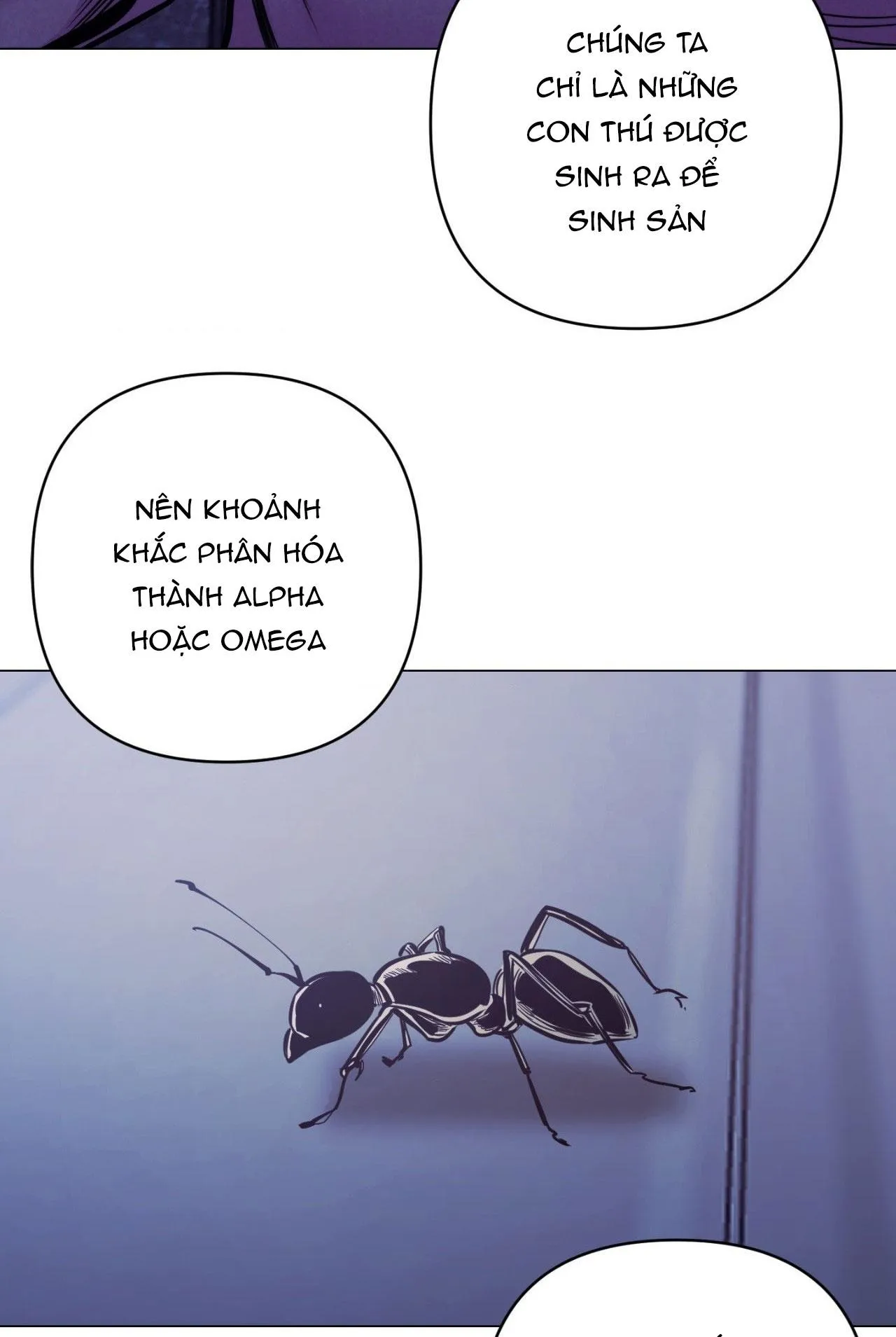 KỲ THỊ Chapter 36 Trang 10