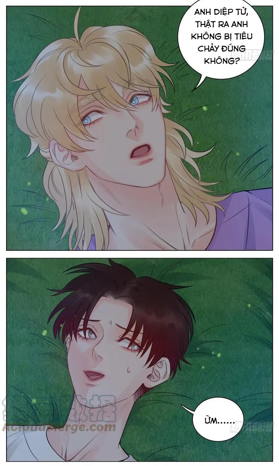 Ký túc xá nam phòng 303 Chapter 51 Trang 17