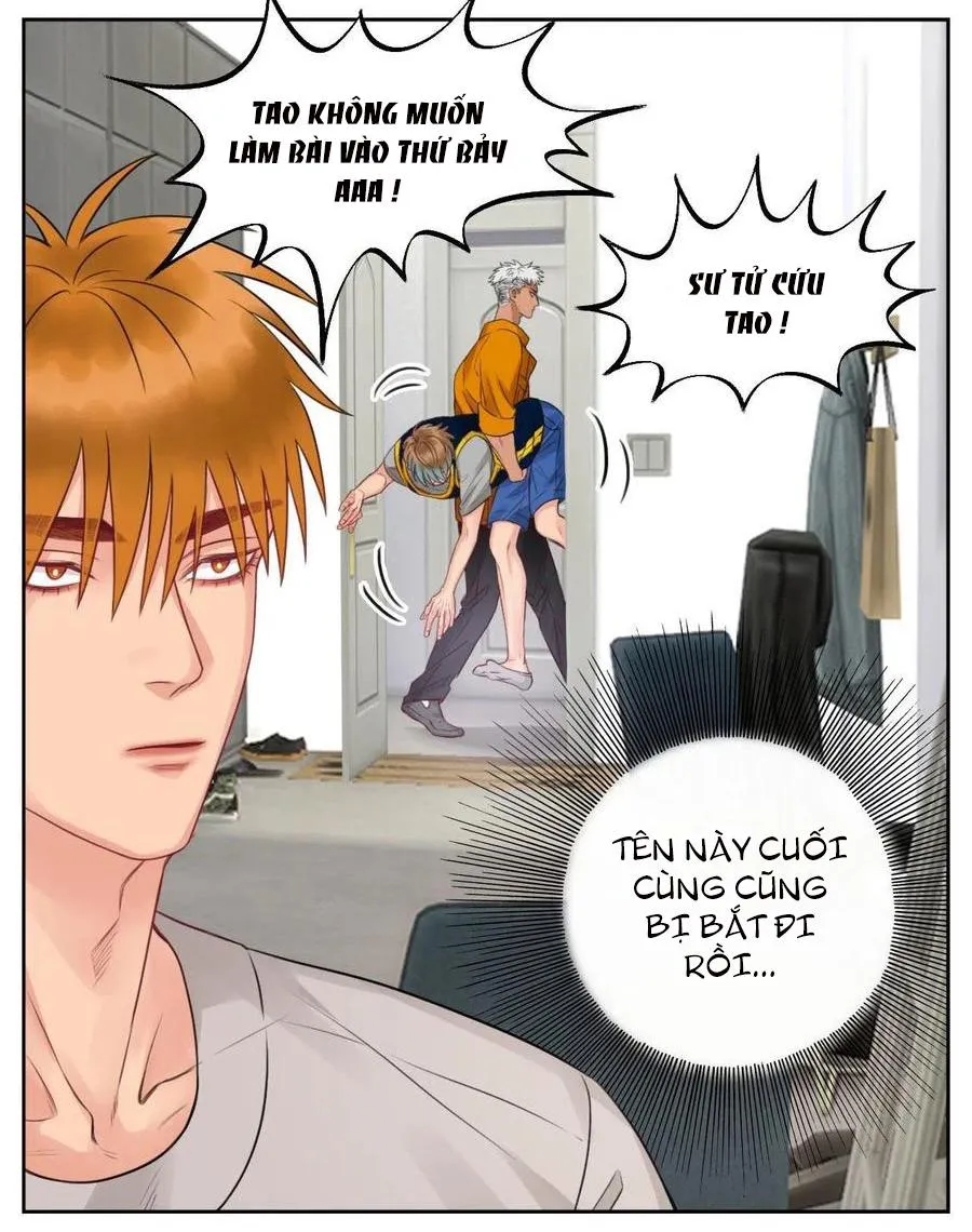 Ký túc xá nam phòng 303 Chapter 52 Trang 5