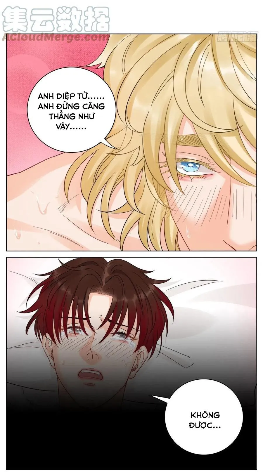 Ký túc xá nam phòng 303 Chapter 56 Trang 13