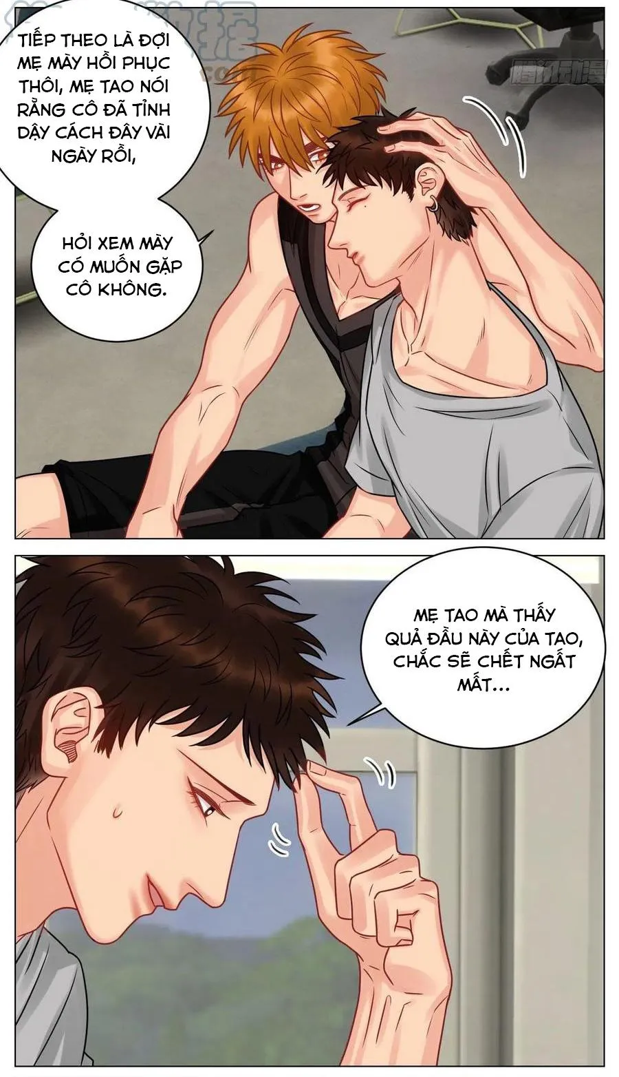 Ký túc xá nam phòng 303 Chapter 182 Trang 4