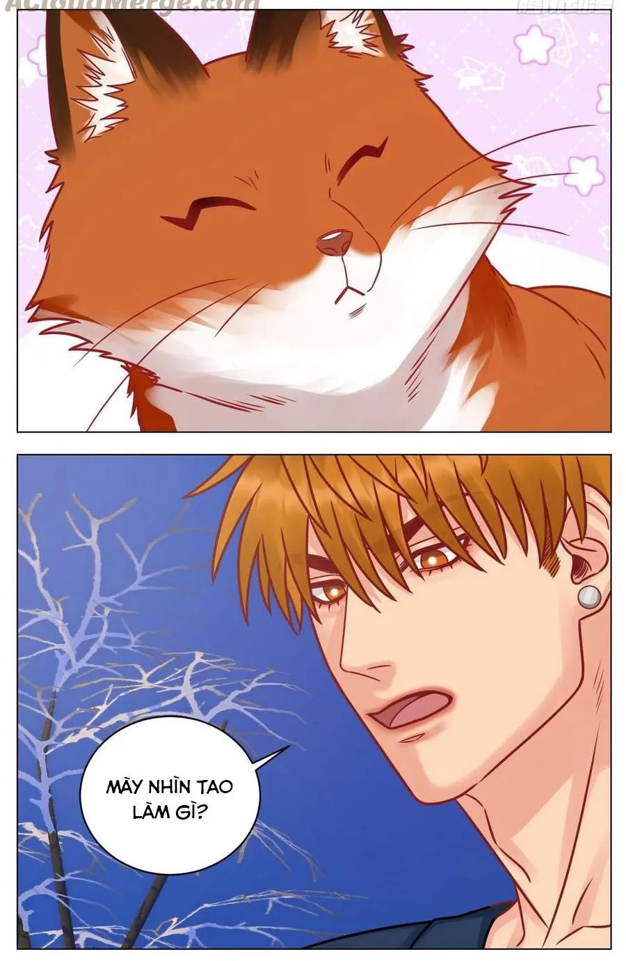 Ký túc xá nam phòng 303 Chapter 189 Trang 4