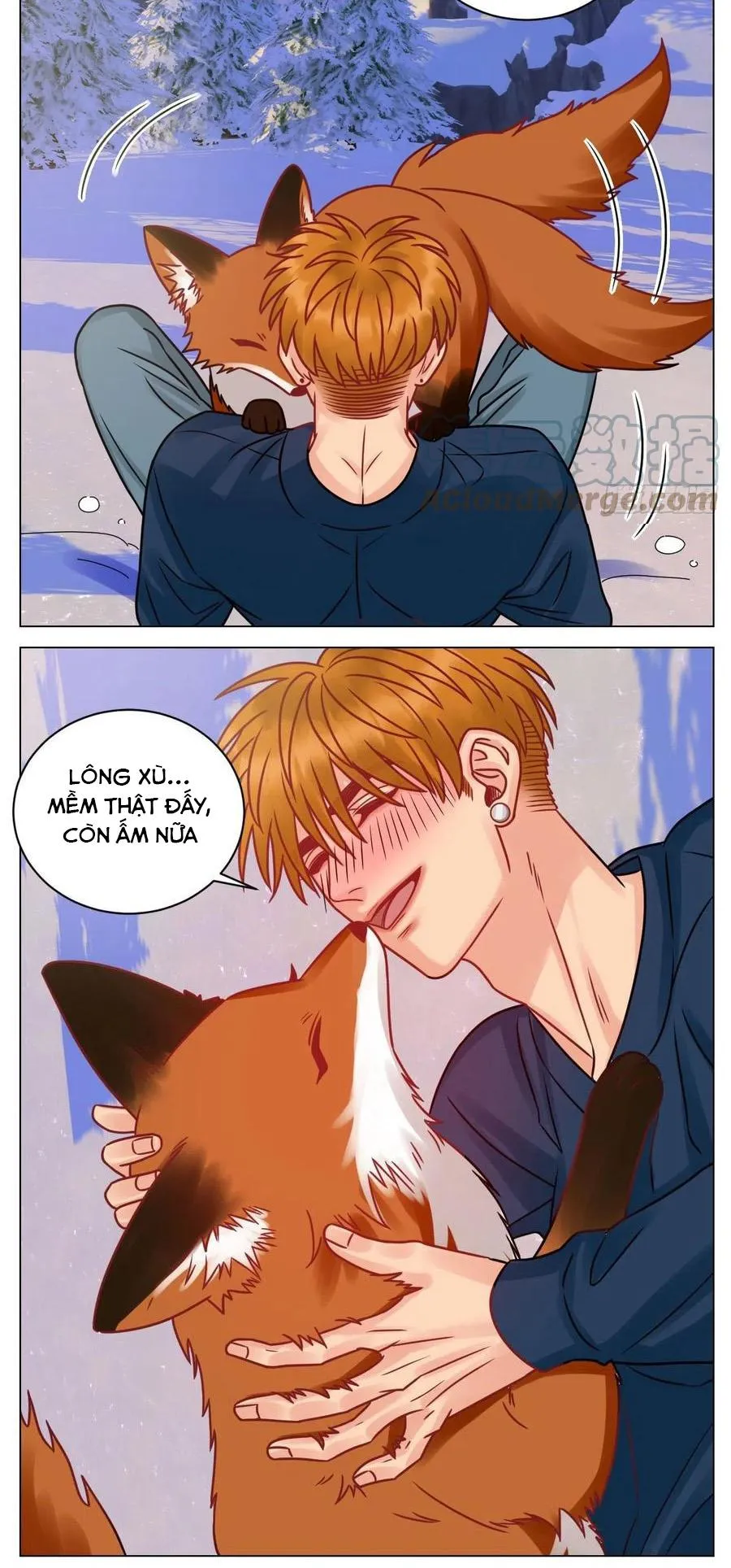 Ký túc xá nam phòng 303 Chapter 189 Trang 8