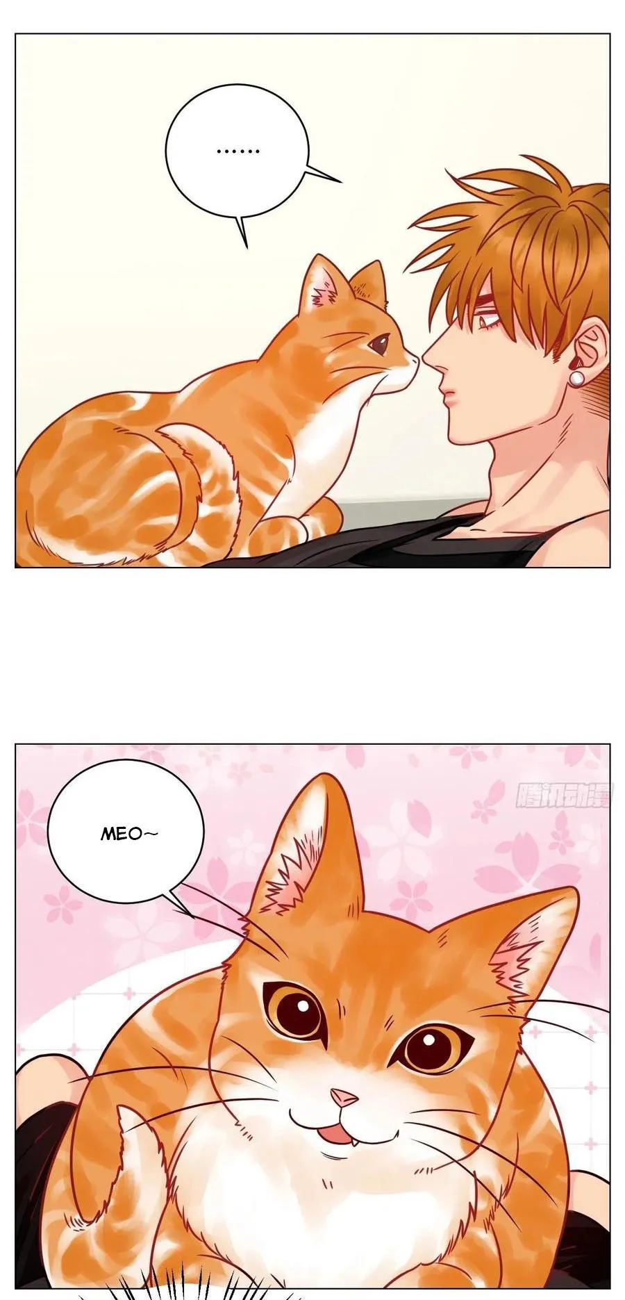 Ký túc xá nam phòng 303 Chapter 189 Trang 14