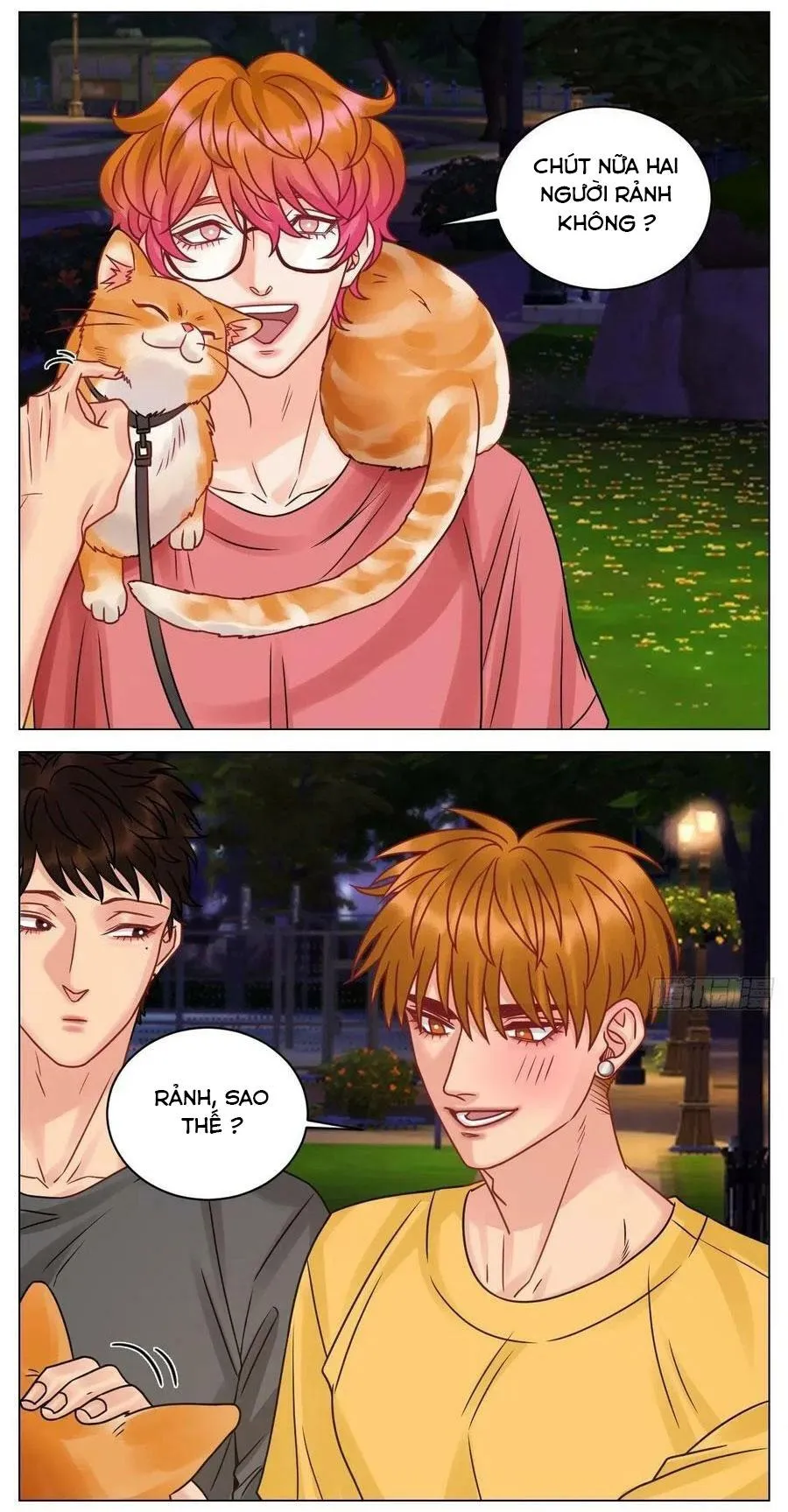 Ký túc xá nam phòng 303 Chapter 194 Trang 17