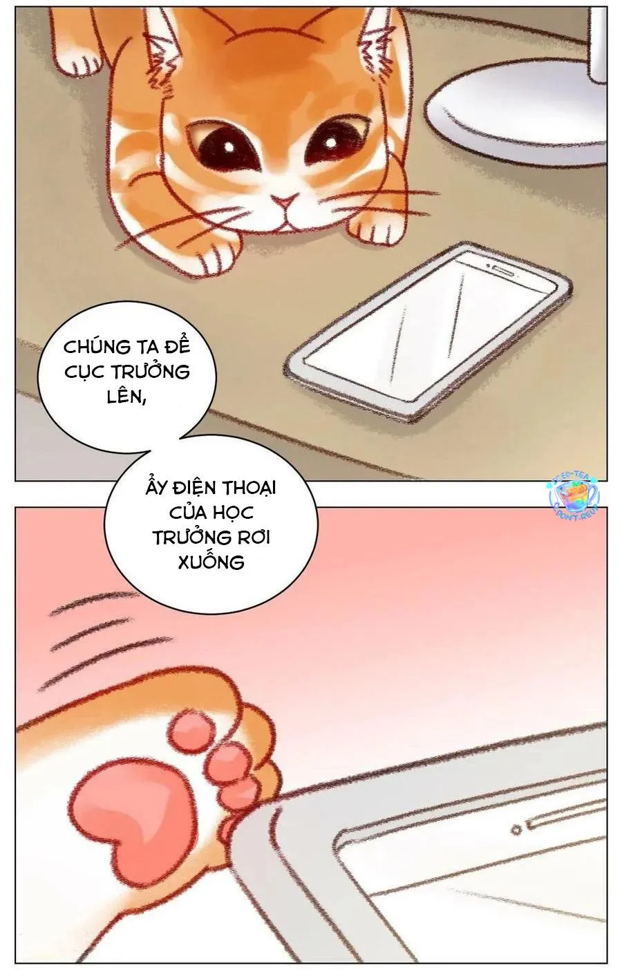 Ký túc xá nam phòng 303 Chapter 196 Trang 12