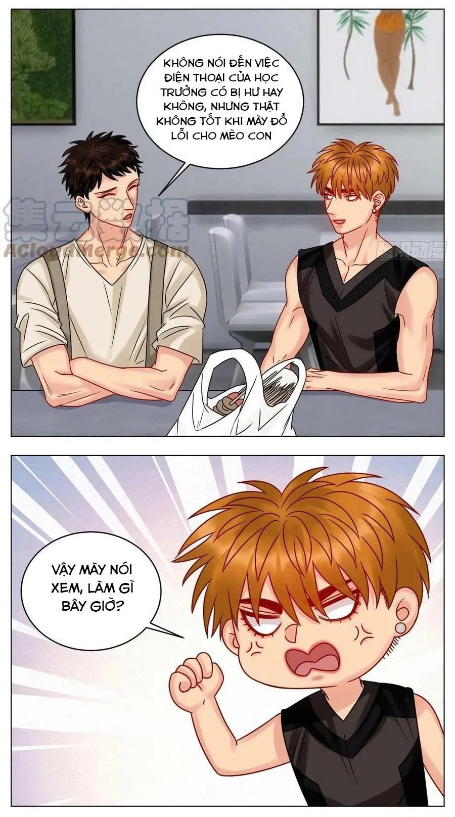 Ký túc xá nam phòng 303 Chapter 196 Trang 14