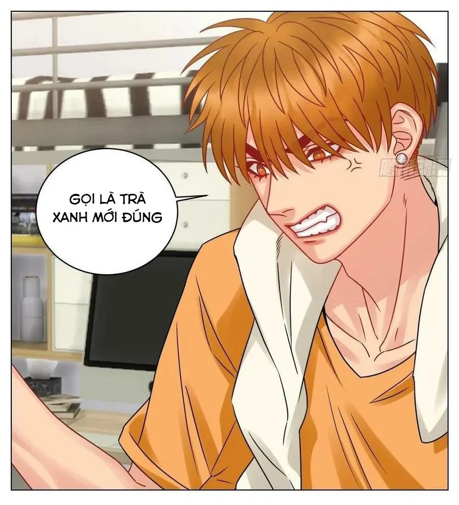 Ký túc xá nam phòng 303 Chapter 198 Trang 17