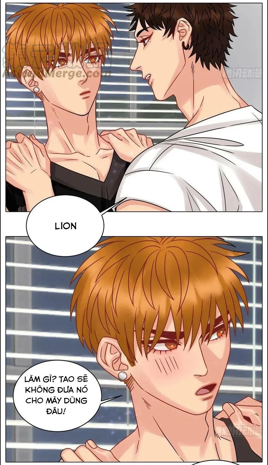 Ký túc xá nam phòng 303 Chapter 199 Trang 17