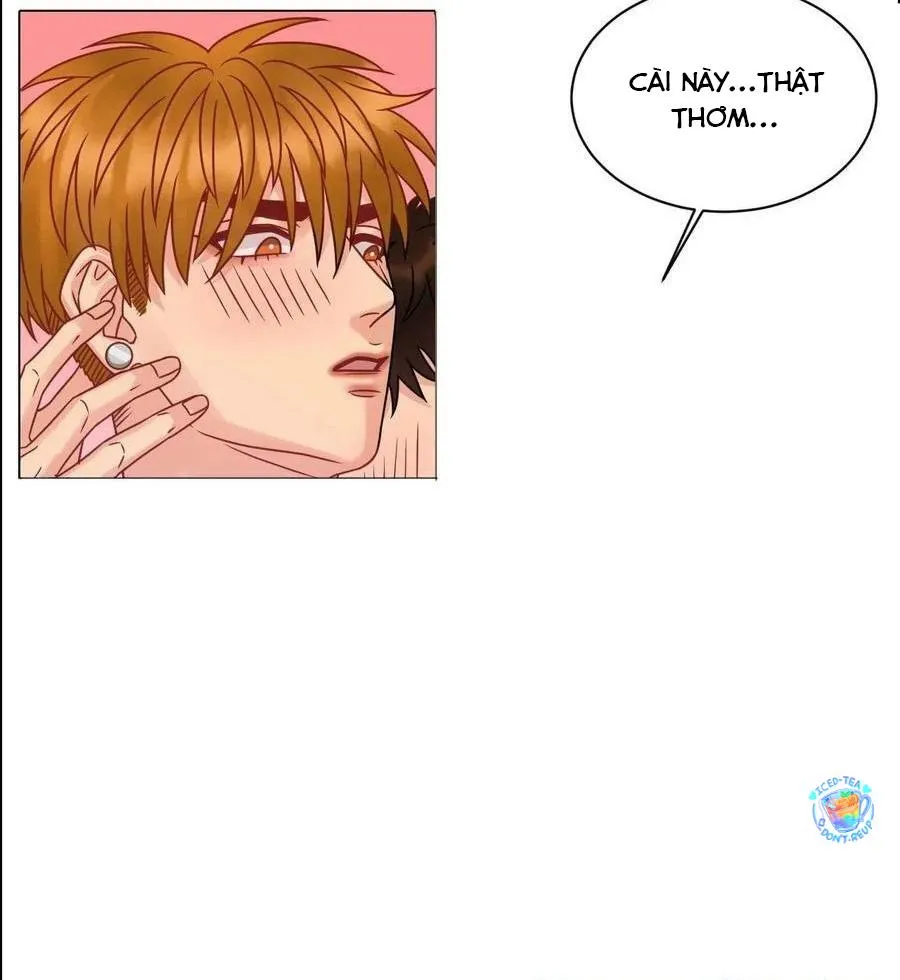 Ký túc xá nam phòng 303 Chapter 199 Trang 18