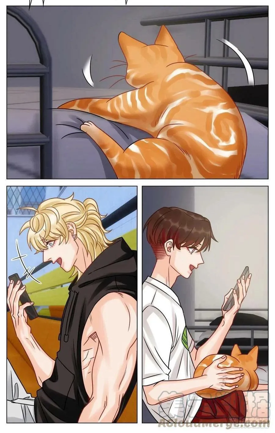 Ký túc xá nam phòng 303 Chapter 200 Trang 10