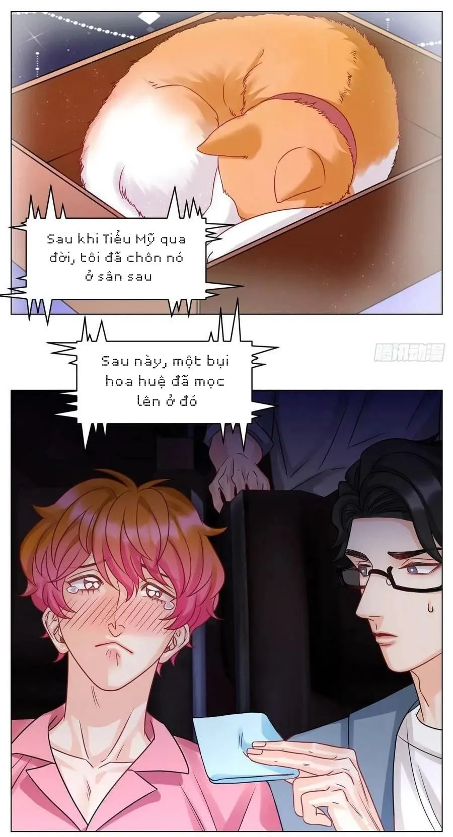 Ký túc xá nam phòng 303 Chapter 210 Trang 12