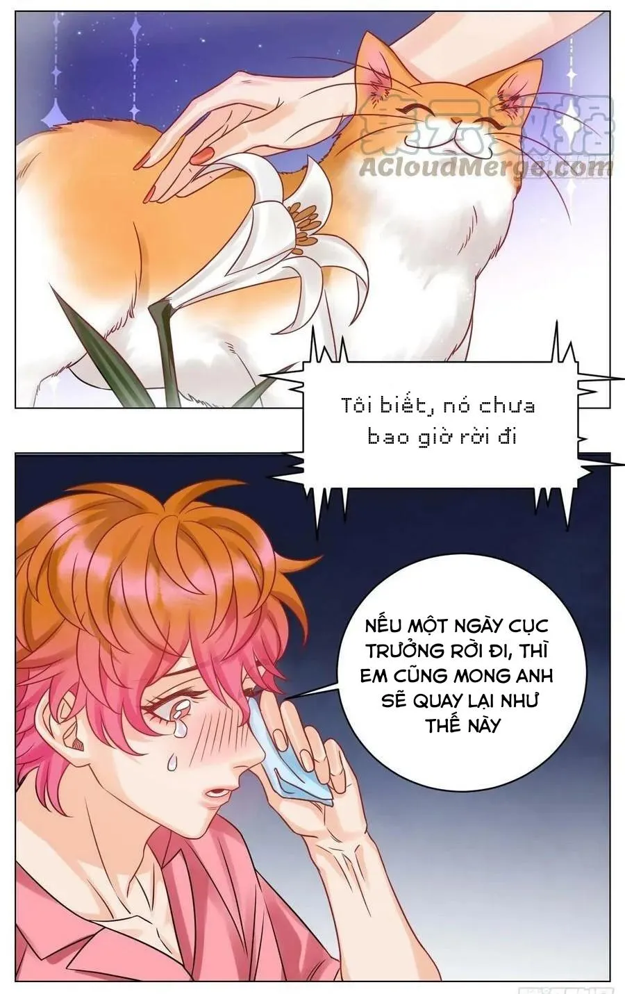 Ký túc xá nam phòng 303 Chapter 210 Trang 13