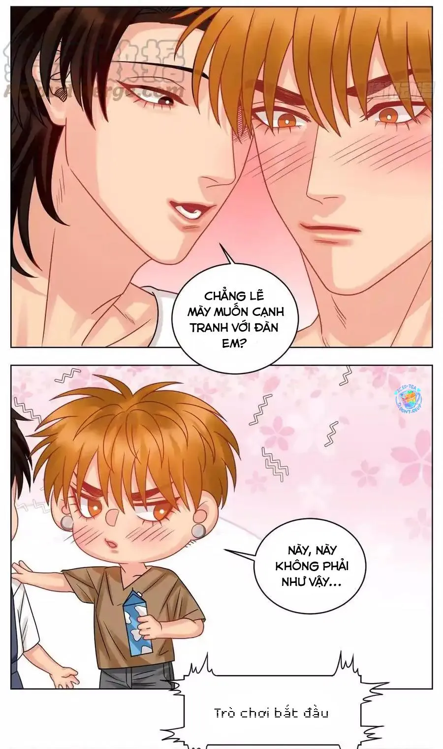 Ký túc xá nam phòng 303 Chapter 216 Trang 13