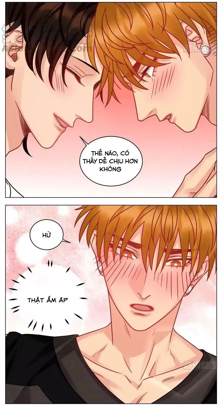 Ký túc xá nam phòng 303 Chapter 217 Trang 13