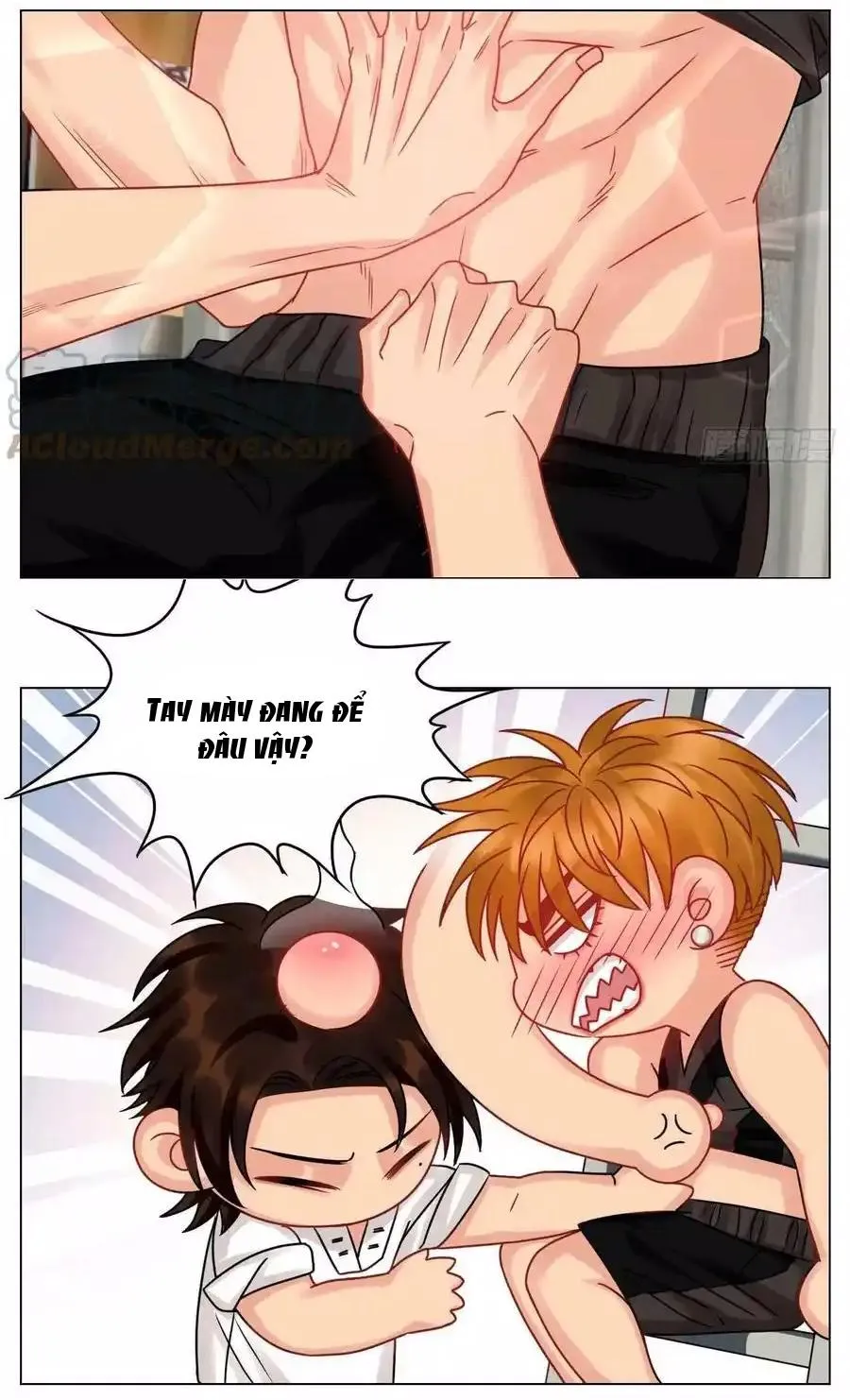 Ký túc xá nam phòng 303 Chapter 217 Trang 16