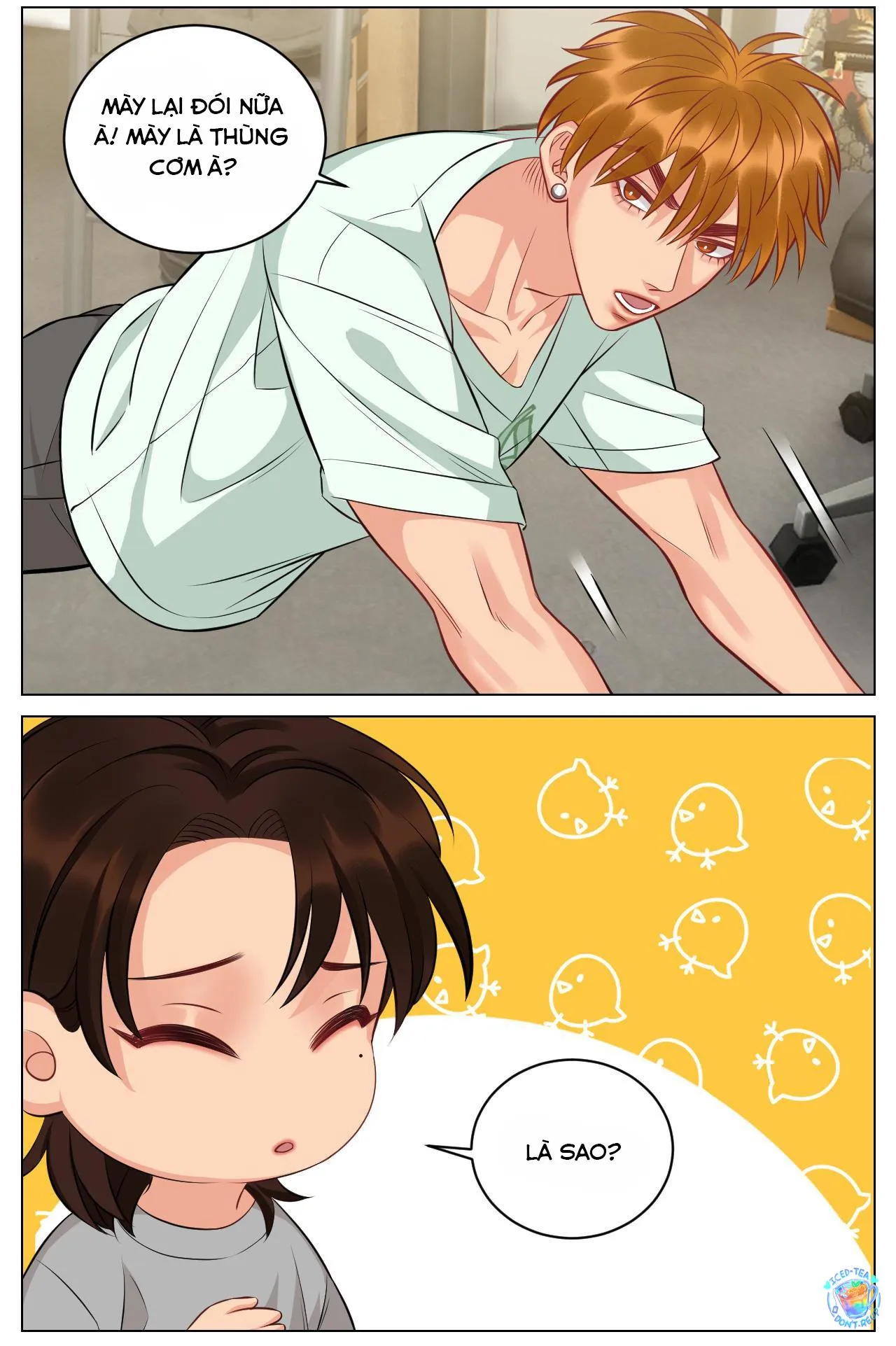 Ký túc xá nam phòng 303 Chapter 230 Trang 3