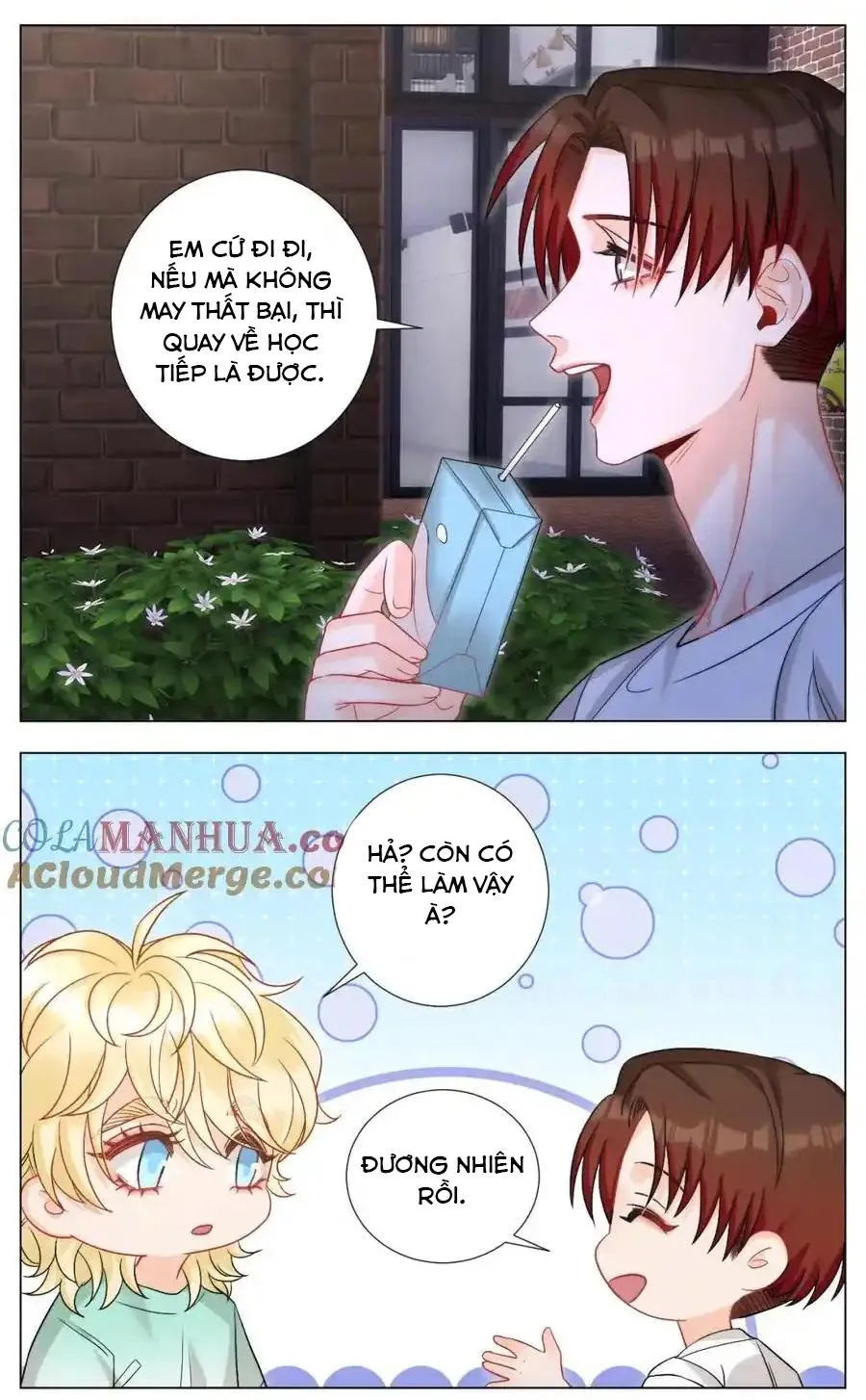 Ký túc xá nam phòng 303 Chapter 244 Trang 8