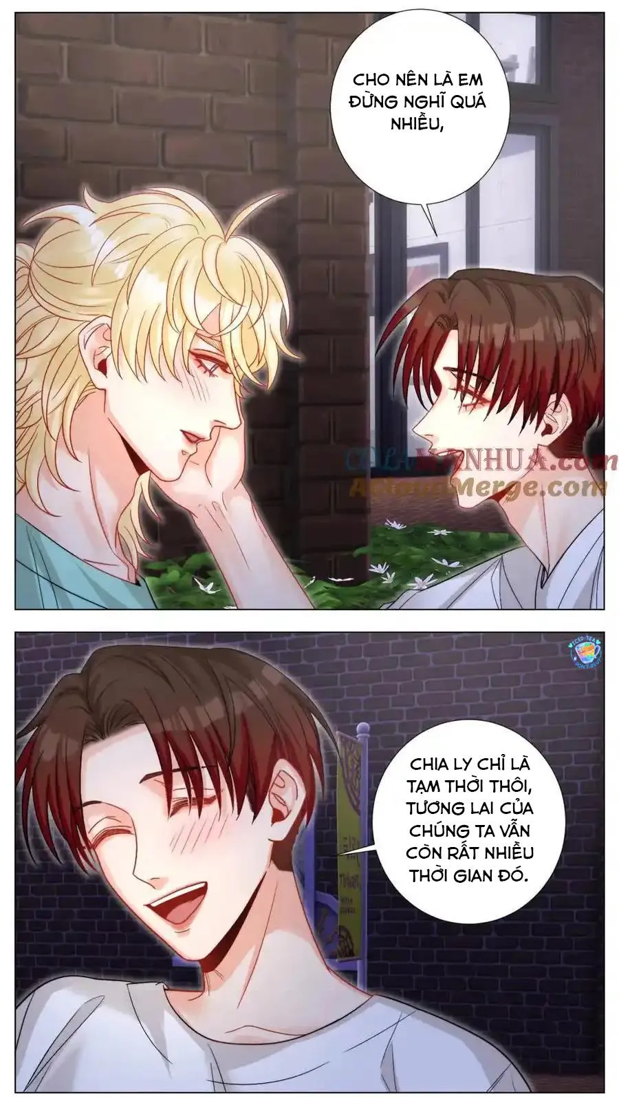 Ký túc xá nam phòng 303 Chapter 244 Trang 14