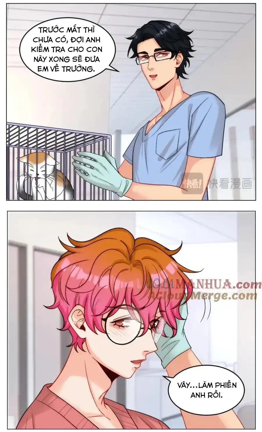 Ký túc xá nam phòng 303 Chapter 245 Trang 4