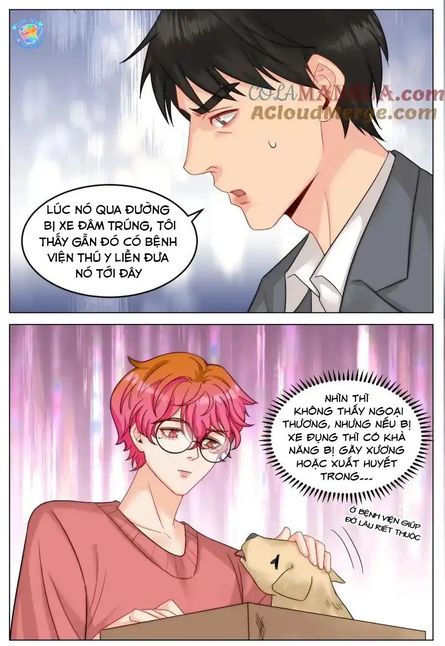 Ký túc xá nam phòng 303 Chapter 245 Trang 10