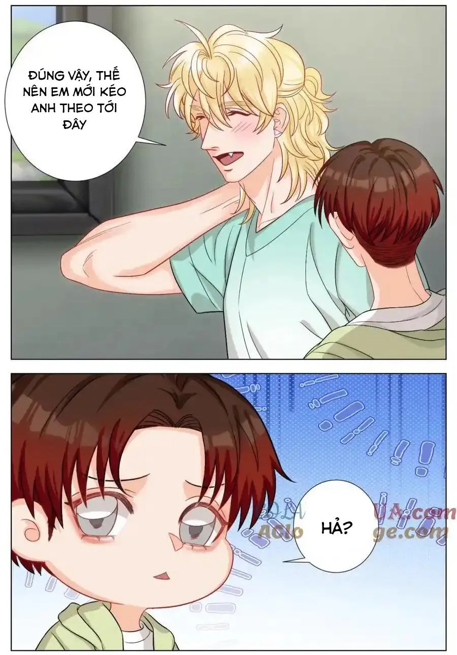 Ký túc xá nam phòng 303 Chapter 246 Trang 3