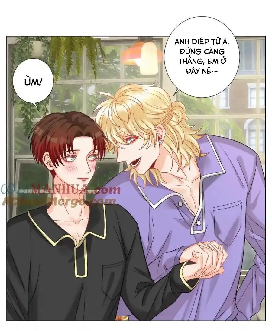 Ký túc xá nam phòng 303 Chapter 246 Trang 11