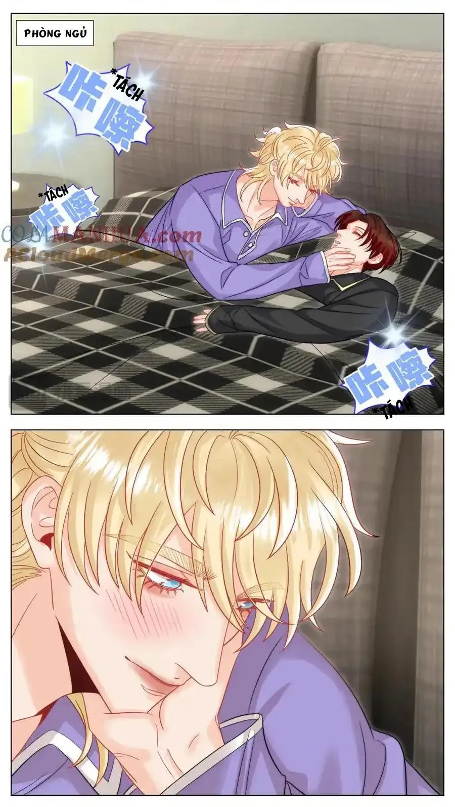 Ký túc xá nam phòng 303 Chapter 246 Trang 14