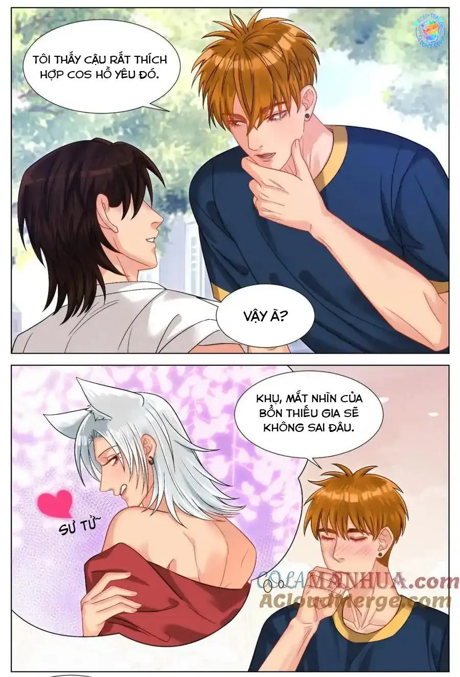 Ký túc xá nam phòng 303 Chapter 247 Trang 4