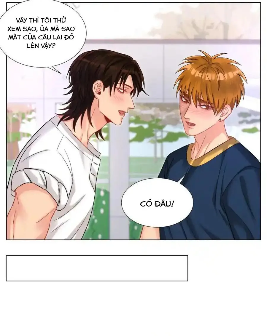 Ký túc xá nam phòng 303 Chapter 247 Trang 5