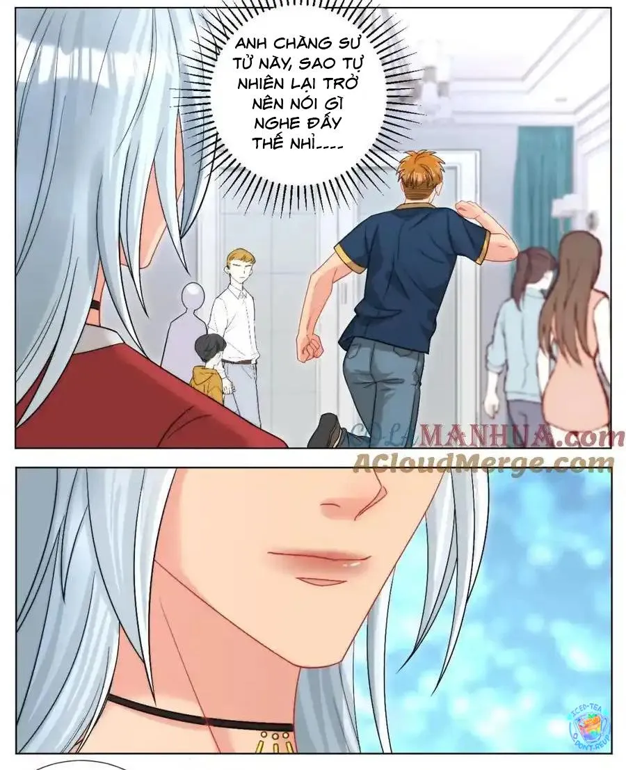 Ký túc xá nam phòng 303 Chapter 247 Trang 12