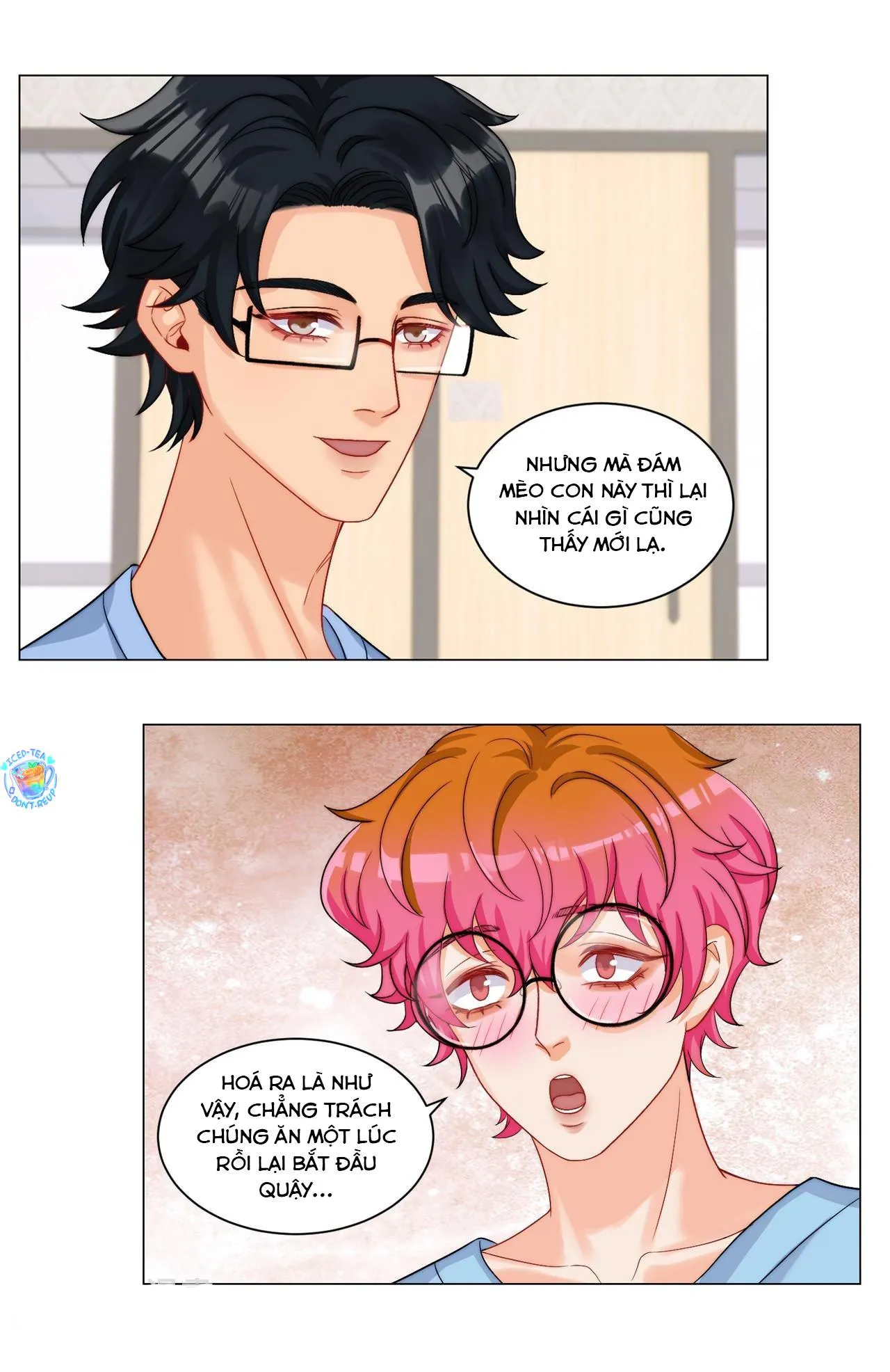 Ký túc xá nam phòng 303 Chapter 249 Trang 13