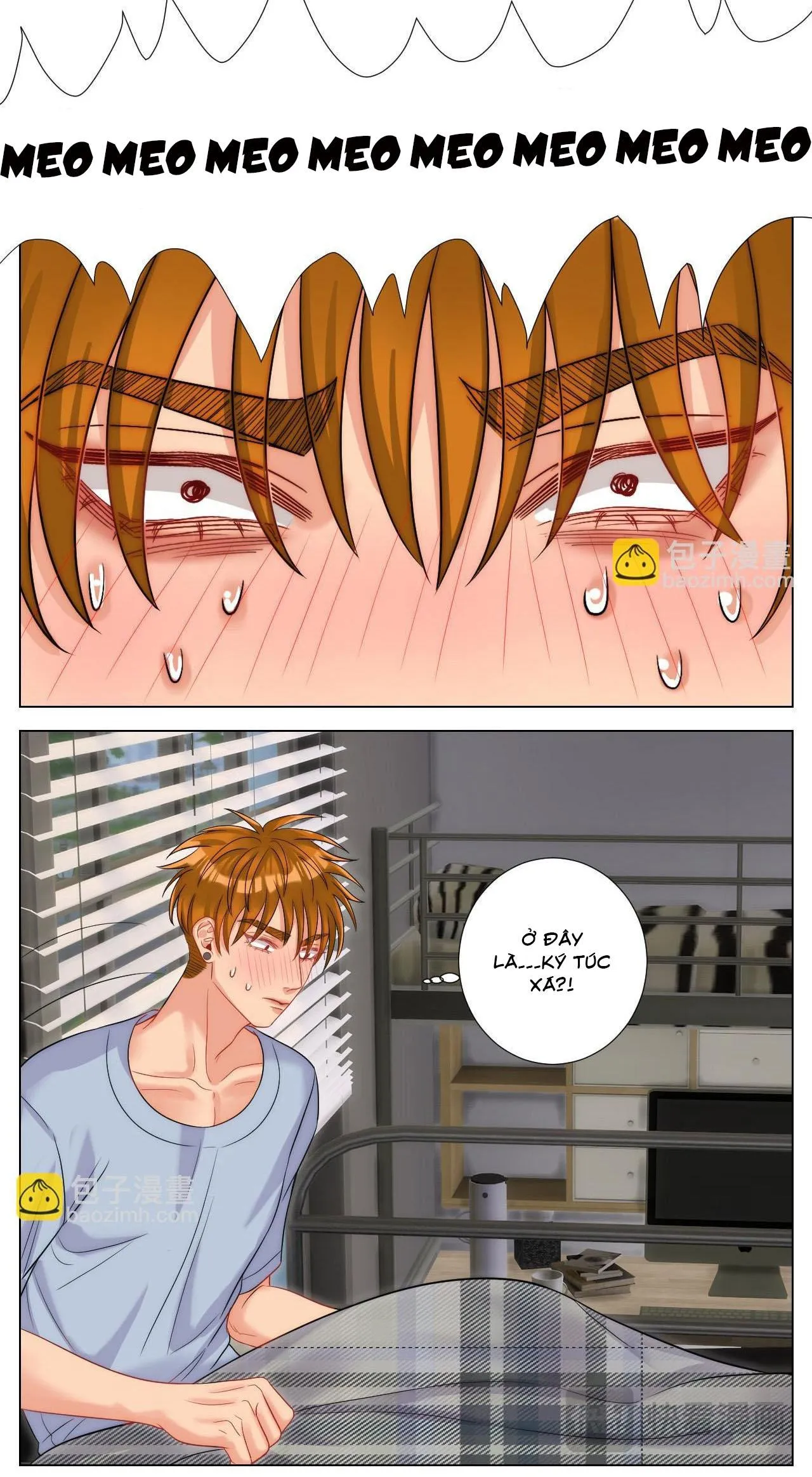 Ký túc xá nam phòng 303 Chapter 250 Trang 8