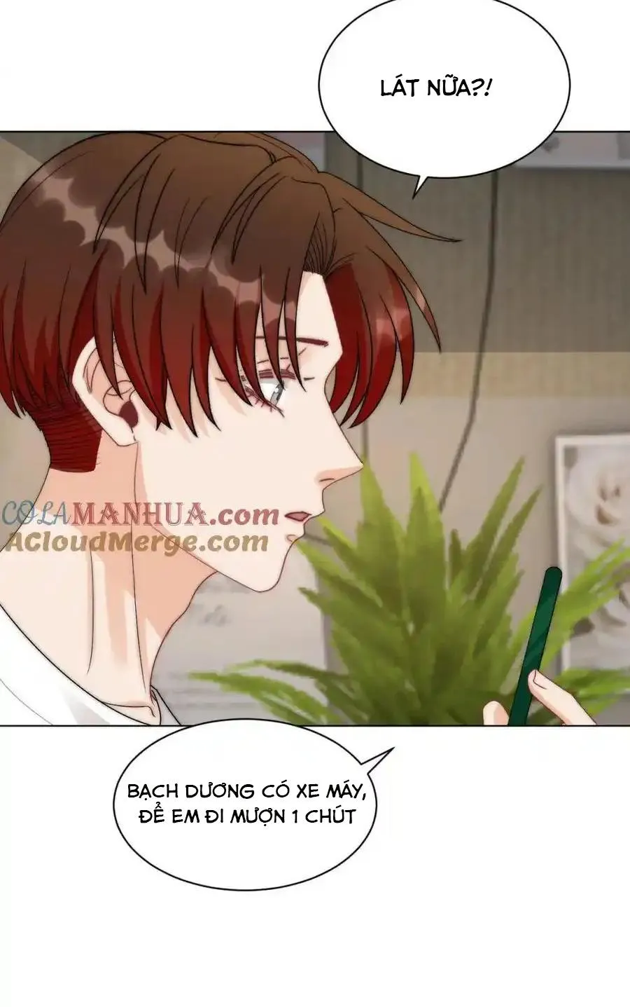 Ký túc xá nam phòng 303 Chapter 254 Trang 17