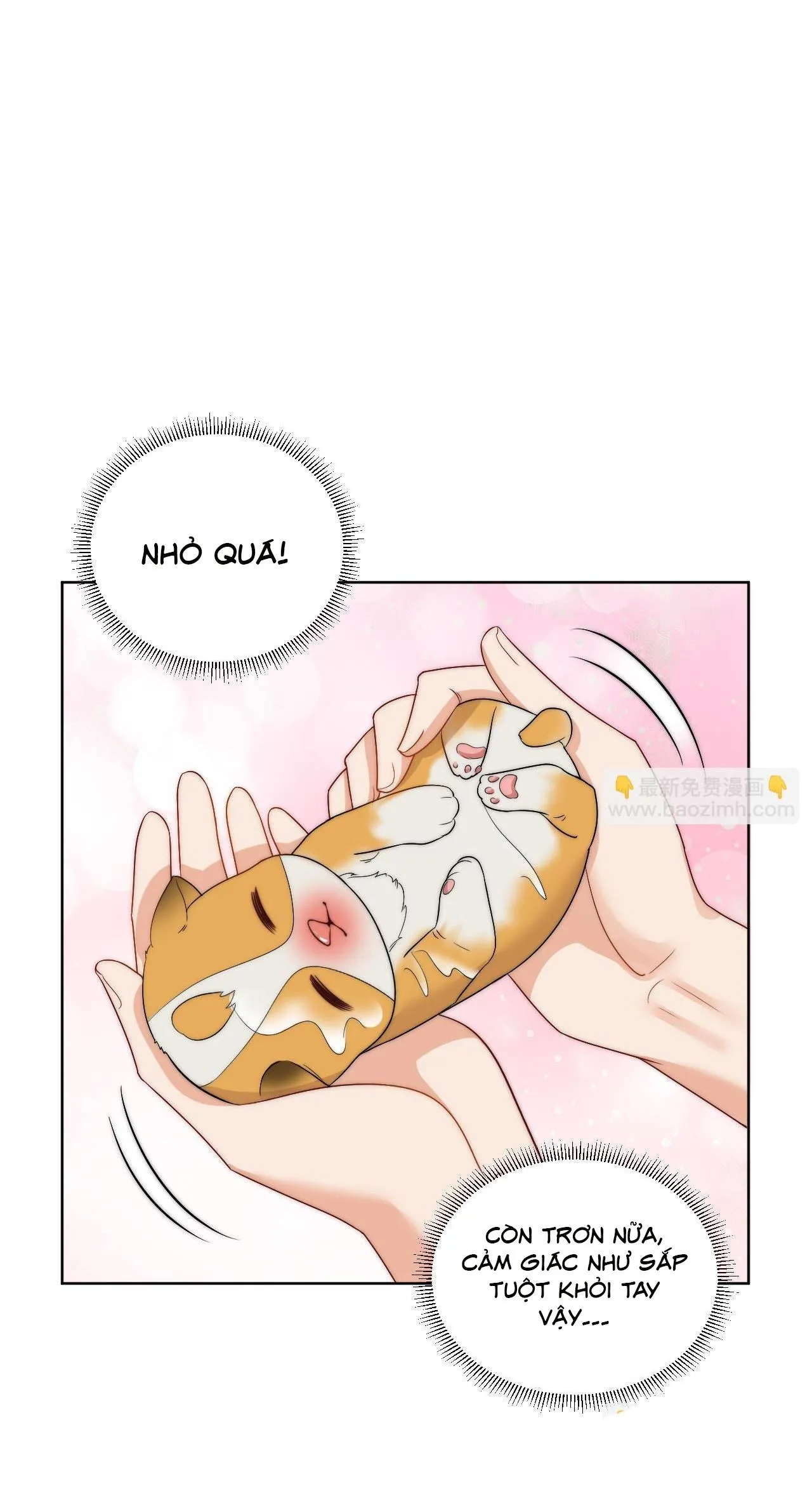 Ký túc xá nam phòng 303 Chapter 255 Trang 11